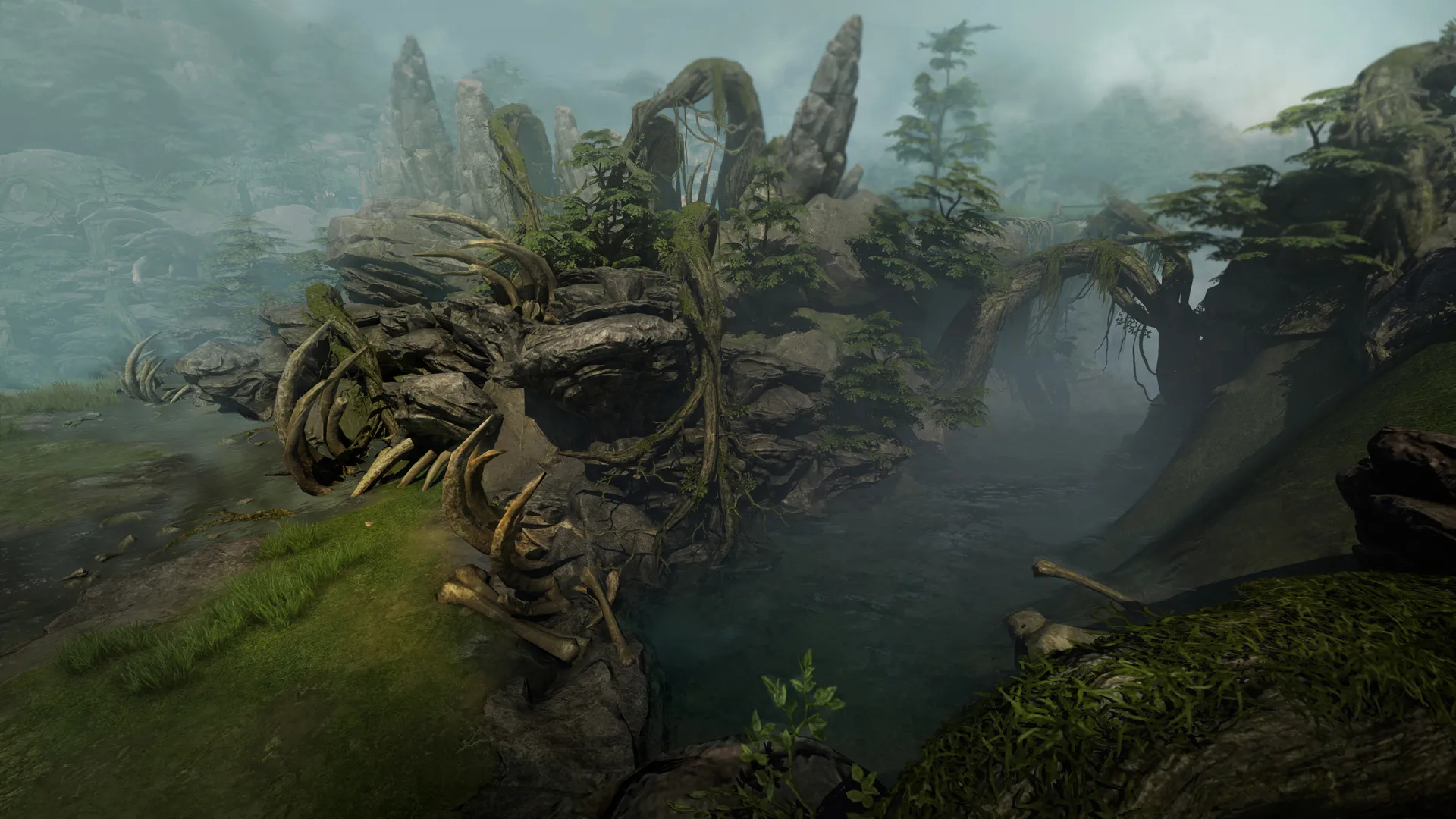 Foggy Ridge