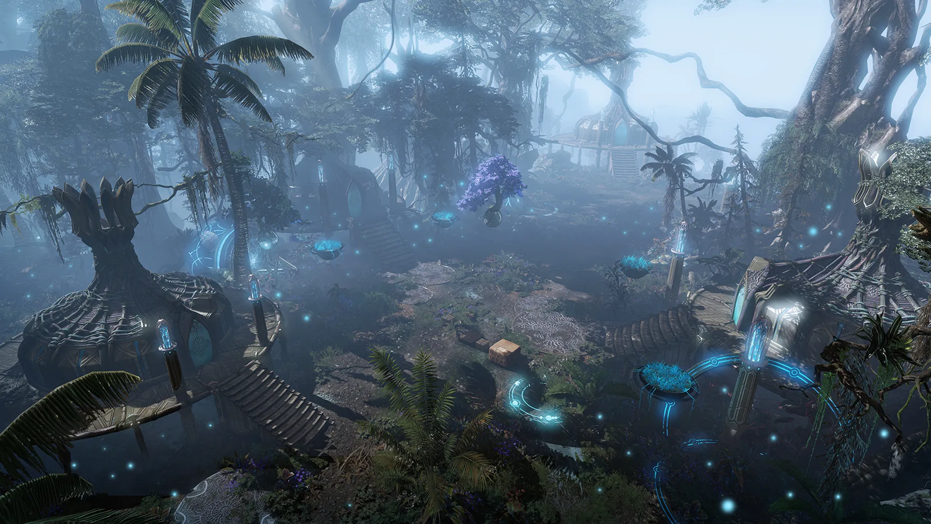 Grande forêt tropicale